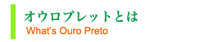  オウロプレットとは